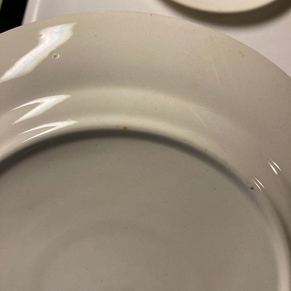 Vintage Dinner Plates (2) 9 Inches with Pink & Blue Flowers / Roses - Picture 5 of 16